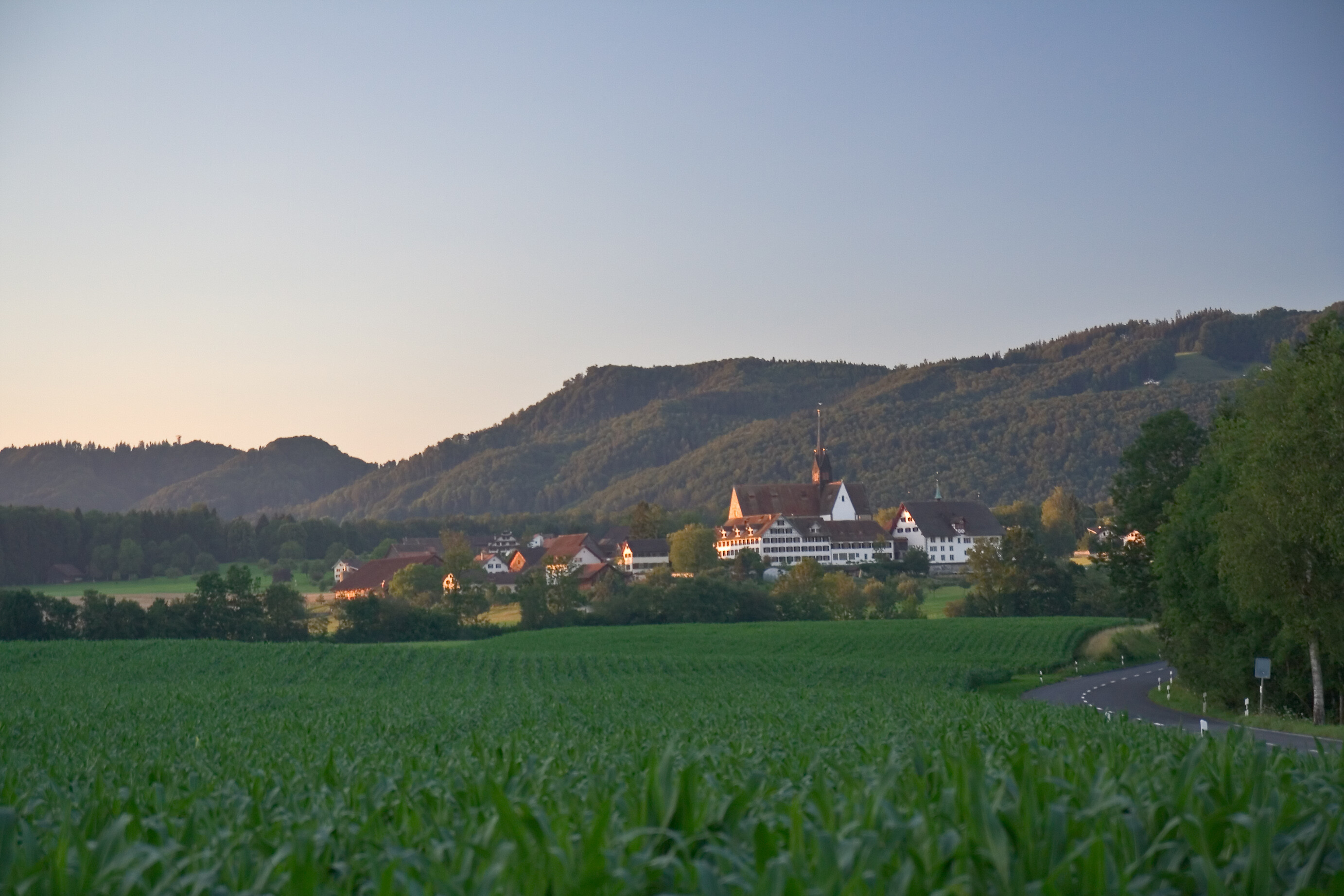Real Estate Agency Kappel am Albis